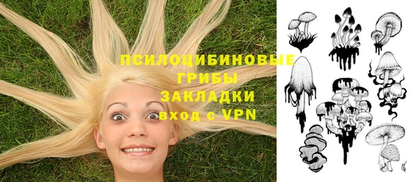 метадон Снежинск