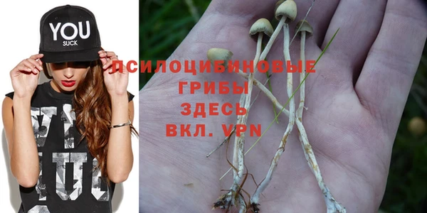 прущая мука Заволжск