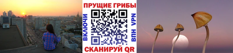 сколько стоит  Старица  Псилоцибиновые грибы ЛСД 